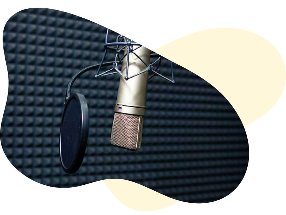 Acoustic Foam The Foam King